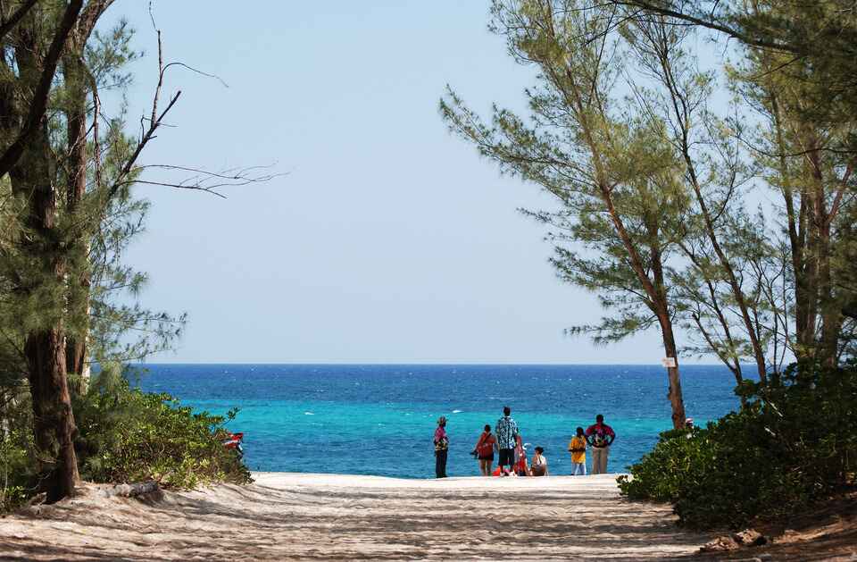 Cabbage Beach Tree Lined Pathway on Nassau Bahamas